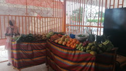 VENTE LEGUMES
