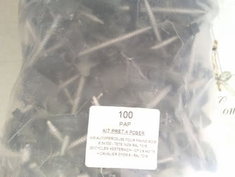 paquet de 100 pièces
