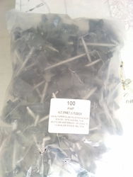 paquet de 100 pièces