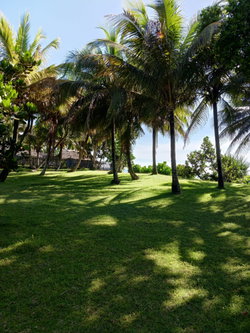 TERRAIN