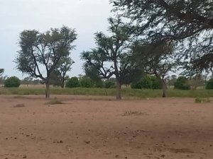 Terrain agricole de 1 hectare à Malicounda
