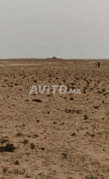 Vente agadir sidi wasay terrain pour projet titre 3 HECTAR Maroc