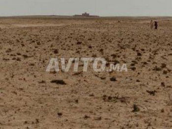 Vente agadir sidi wasay terrain pour projet titre 3 HECTAR Maroc