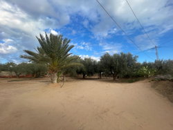 le terrain à coté