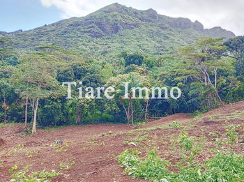 Vente Terrain Moorea-Maiao LOT C Polynésie Fran&amp;ccedil;aise