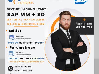 Annonce Formation Consultant SAP MM-SD Métier Paramétrage Tunis Tunisie