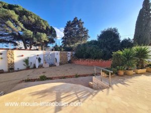 Annonce location appartement liliane hammamet zone sindbad Tunisie