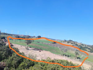 annonces rencontres tanger