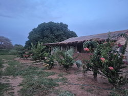 Ferme agricole à vendre à Mbissel