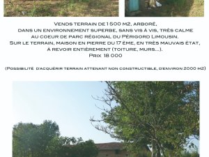 Vente vends terrain arboré sa ruine Bussière-Badil Dordogne