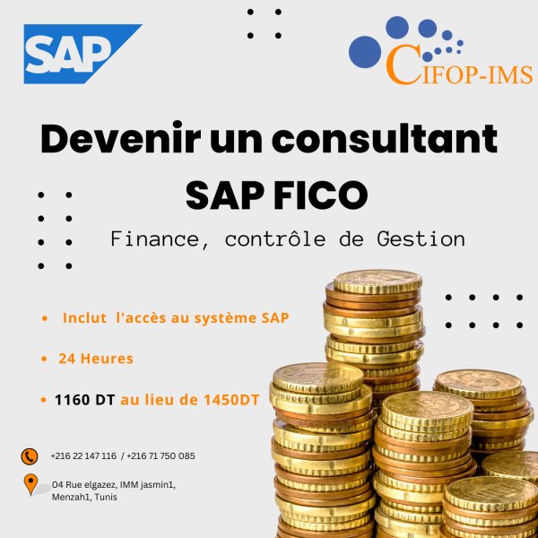 Devenir 1 consultant SAP FICO Finance & Contrôle gestion Tunis Tunisie