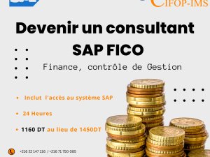 Devenir 1 consultant SAP FICO Finance &amp; Contrôle gestion Tunis Tunisie