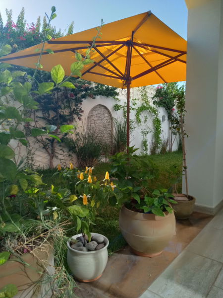 jardin