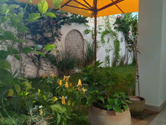 jardin