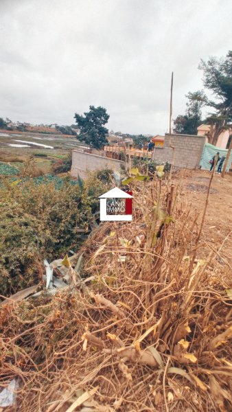 Vente 1 terrain 300m2 dans 1 quartier résidentiel d'Androhibe Antananarivo