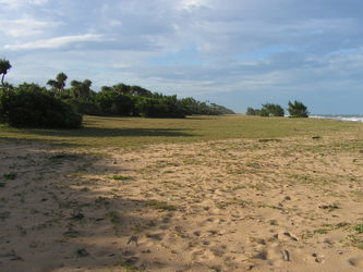 Côté au bord de la Mer