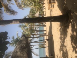 Fonds commerce Hotel LES PIEDS DANS L EAU Saly Portudal Sénégal