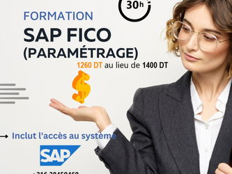 Formation SAP Fico Paramétrage Tunis Tunisie