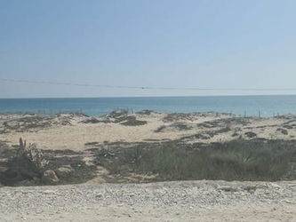 Annonce Vente TERRAIN JINEN BENI KHIAR Nabeul Tunisie