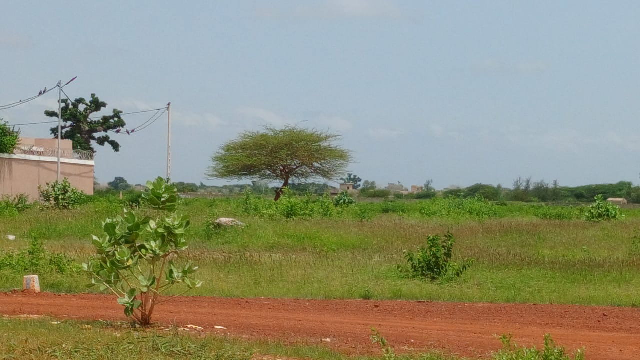 terrain 300 mètres carrés  à vendre à Saly