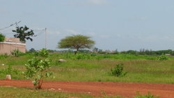 terrain 300 mètres carrés  à vendre à Saly
