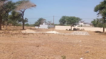 terrain 300 mètres carrés  à vendre à Nianing