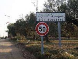 Vente Terrain route principale Sidi Alouane Chtiouin Mahdia Tunisie