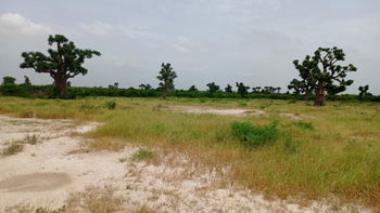 Terrains 200m2 à Thies