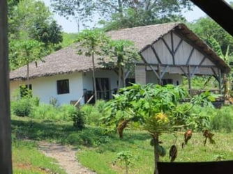Vente URGENT FAIRE OFFRE 1 LODGE MER À NOSY BE Ile Nosy Be Madagascar