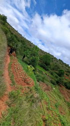 Très beau terrain