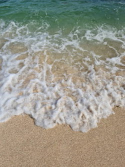 Plage à Sainte-Luce, non loin du logement