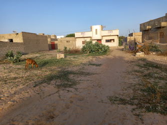 Vente terrain Saint Louis Sénégal