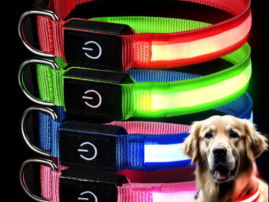 Collier chien / lumineux