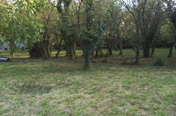Annonce Vente TERRAIN BATIR pour 1 projet construction 520 m2 R+2 sous sol Villevaudé