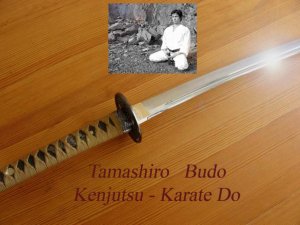 Cours de Kenjutsu et Iaido - 7e Dan Japon - Paris sud