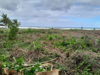 Terrain constructible