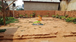 terrain