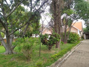 Location ivandry grande villa t4 jardin arbore 600m² lotissement bonnet – 2023- Antananarivo