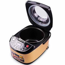Multicuiseur 5L