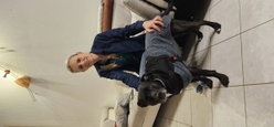 Moi et les chiens