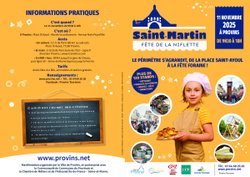 Programme Fête de la Niflette à Provins