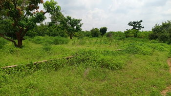 terrain 450 mètres carrés  à vendre à Sindia