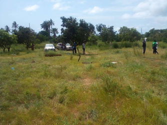 Vente verger d&#039;un hectare mboro M&#039;Boro Sénégal