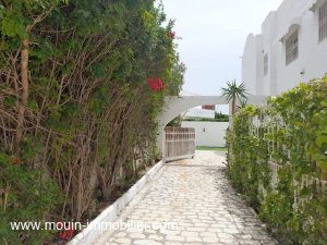 Vente villa palmier 1 Hammamet Tunisie