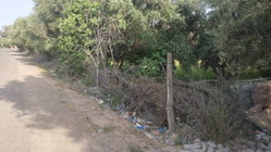 Terrain
