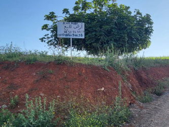 Vente Terrain Oaud Loua Tétouan Maroc