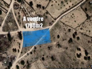 Vente Terrain agricole ou pour construction mezraya Medenine Tunisie