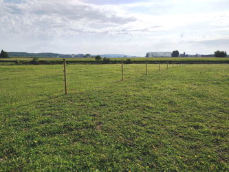 Prairie