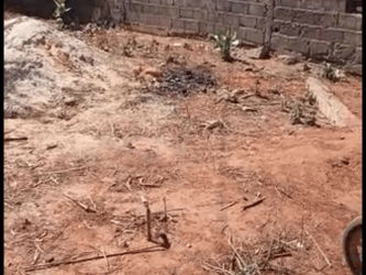 Vente Terrain 600 mètres carrés côté lagune Somone Sénégal