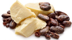 Fournisseur de BEURRE DE KARITE et BEURRE DE CACAO au Maroc